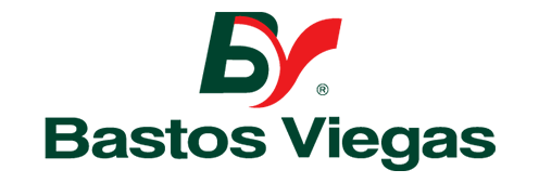 Bastos Viegas