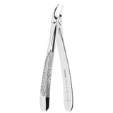 Asa Dental Extractietang #55 Gekartelde punt (17 cm)-Instrumenten-Asa Dental S.p.A-Sordent