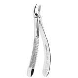 Asa Dental Extractietang #66R Gekartelde punt (17 cm)-Instrumenten-Asa Dental S.p.A-Sordent