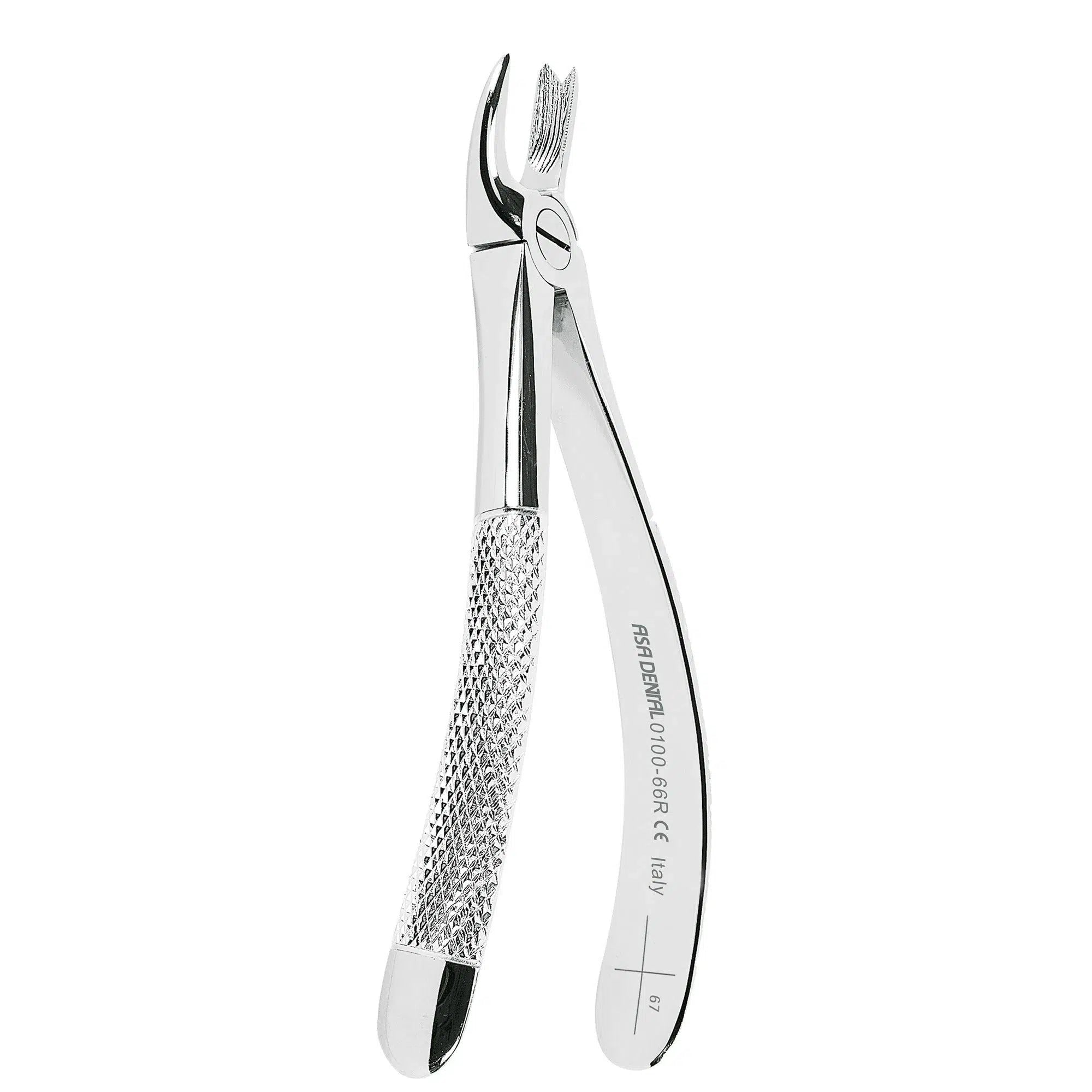 Asa Dental Extractietang #66R Gekartelde punt (17 cm)-Instrumenten-Asa Dental S.p.A-Sordent