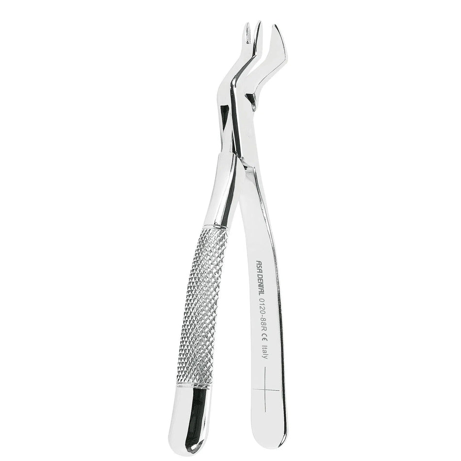 Asa Dental Extractietang American #88R Niet gekarteld (18 cm)-Instrumenten-Asa Dental S.p.A-Sordent