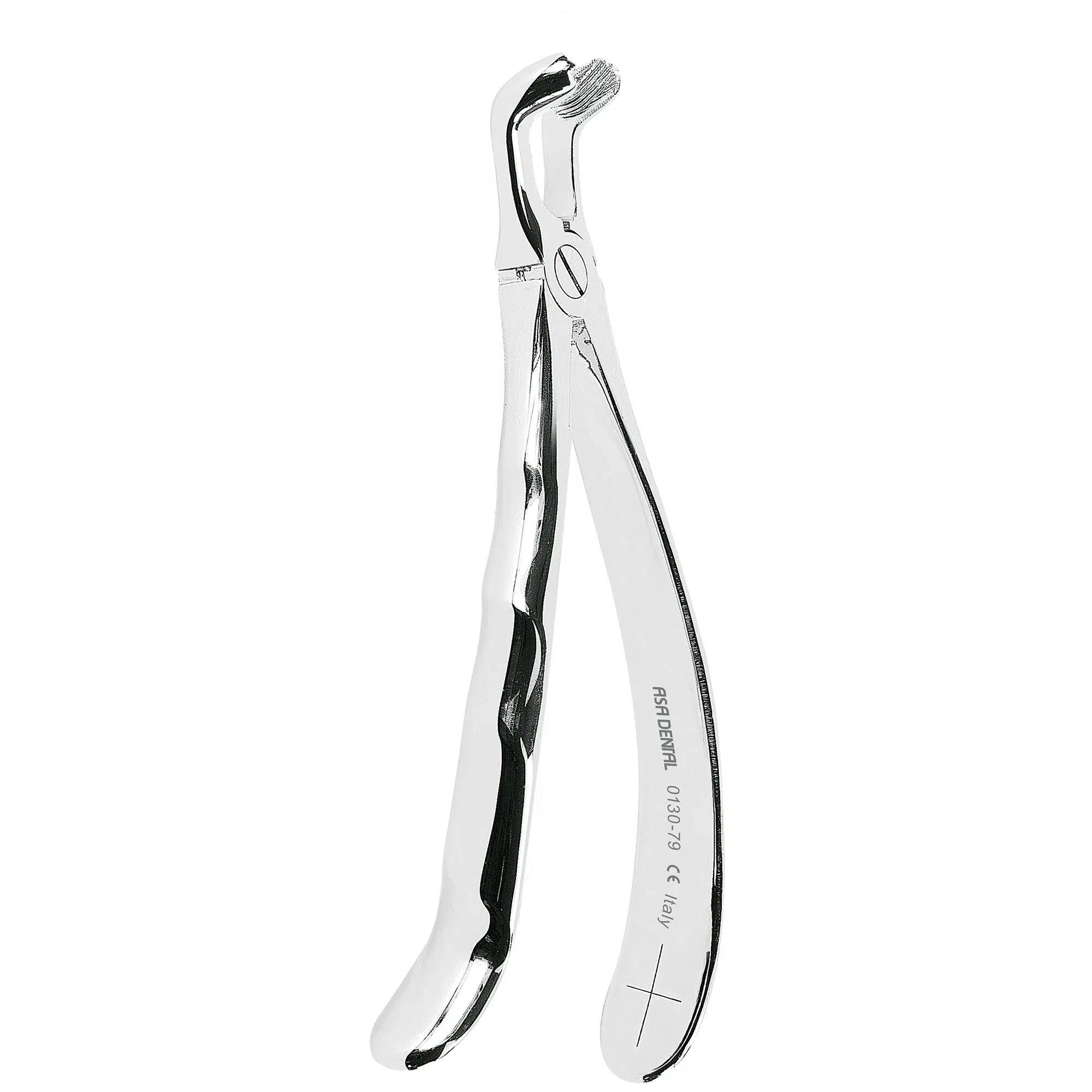 Asa Dental Extractietang Anatomisch #79 Gekartelde punt (17 cm)-Instrumenten-Asa Dental S.p.A-Sordent