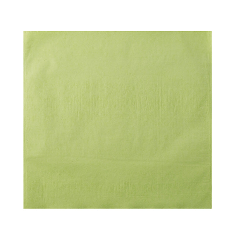 Euronda Monoart® Hoofdsteunzakken 28x30 cm - Div. Kleuren (250 st.)-Euronda-Groen-Sordent