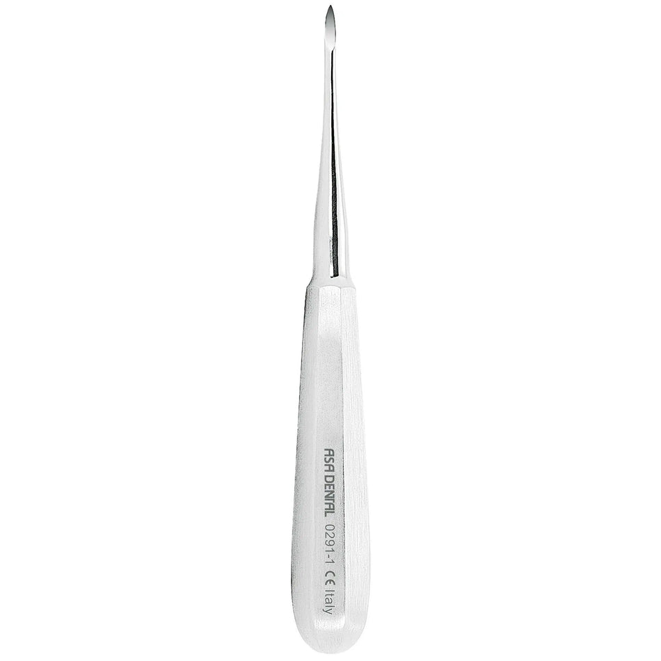 Asa Dental Wortelrest / Root Tip Pick Elevator #1 Heidbrink (2,5 mm)-Instrumenten-Asa Dental S.p.A-Sordent