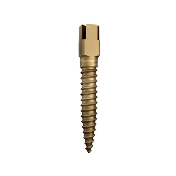 Dentatus Screw Posts Gold - Div. Maten (6 st.)-Dentatus-Short Nr. 2-Sordent