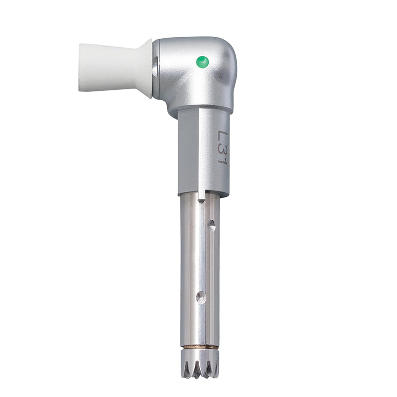 KaVo INTRA™ Prophylactic Kop - L31-Kavo-Sordent