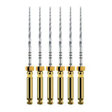 Dentsply ProTaper Next® File A0800 | Div. Opties (6 st.)-Dentsply Sirona-25 mm-X1-Sordent