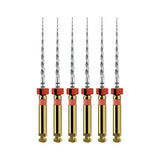 Dentsply ProTaper Next® File A0800 | Div. Opties (6 st.)-Dentsply Sirona-21 mm-X2-Sordent