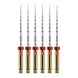 Dentsply ProTaper Next® File A0800 | Div. Opties (6 st.)-Dentsply Sirona-25 mm-X2-Sordent