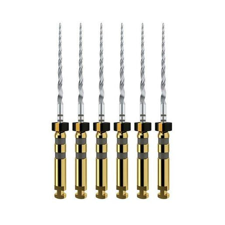 Dentsply ProTaper Next® File A0800 | Div. Opties (6 st.)-Dentsply Sirona-21 mm-X4-Sordent