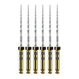 Dentsply ProTaper Next® File A0800 | Div. Opties (6 st.)-Dentsply Sirona-25 mm-X4-Sordent