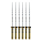 Dentsply ProTaper Next® File A0800 | Div. Opties (6 st.)-Dentsply Sirona-31 mm-X4-Sordent