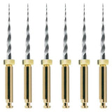 Dentsply ProTaper Next® File A0800 | Div. Opties (6 st.)-Dentsply Sirona-19 mm-XA-Sordent