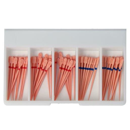 Dentsply ProTaper Next® Conform Fit™ Gutta-Percha Points (60 st.)-Dentsply Sirona-Mix X2-X3-Sordent