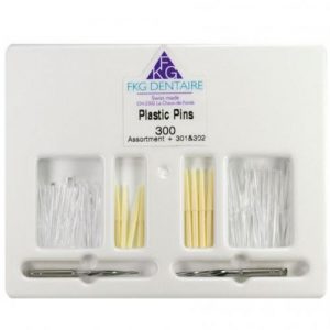 FKG Dentaire Plastic Pints Transparant Nr. 1 (100 st.)-FKG Dentaire-Sordent