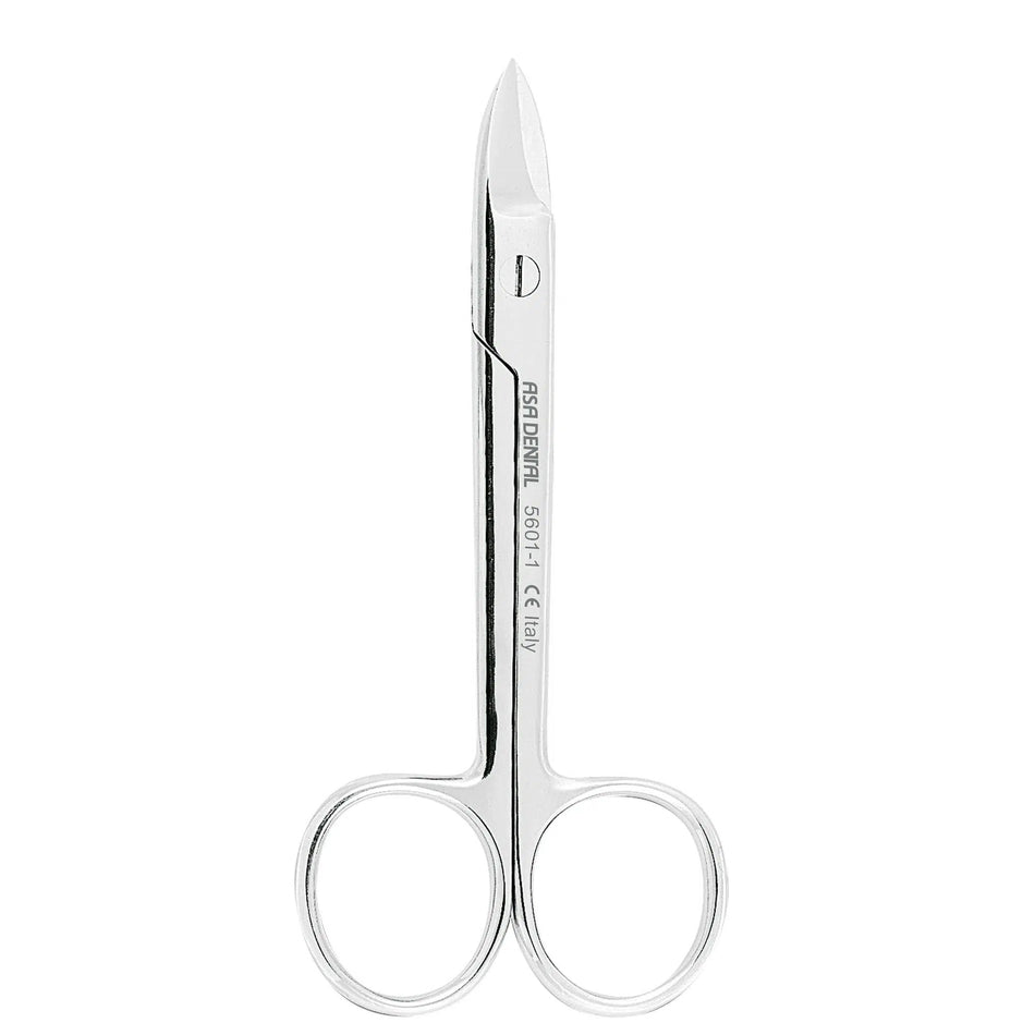 Asa Dental Kronenschaar / Crown scissor Recht (10,5 cm)-Instrumenten-Asa Dental S.p.A-Sordent
