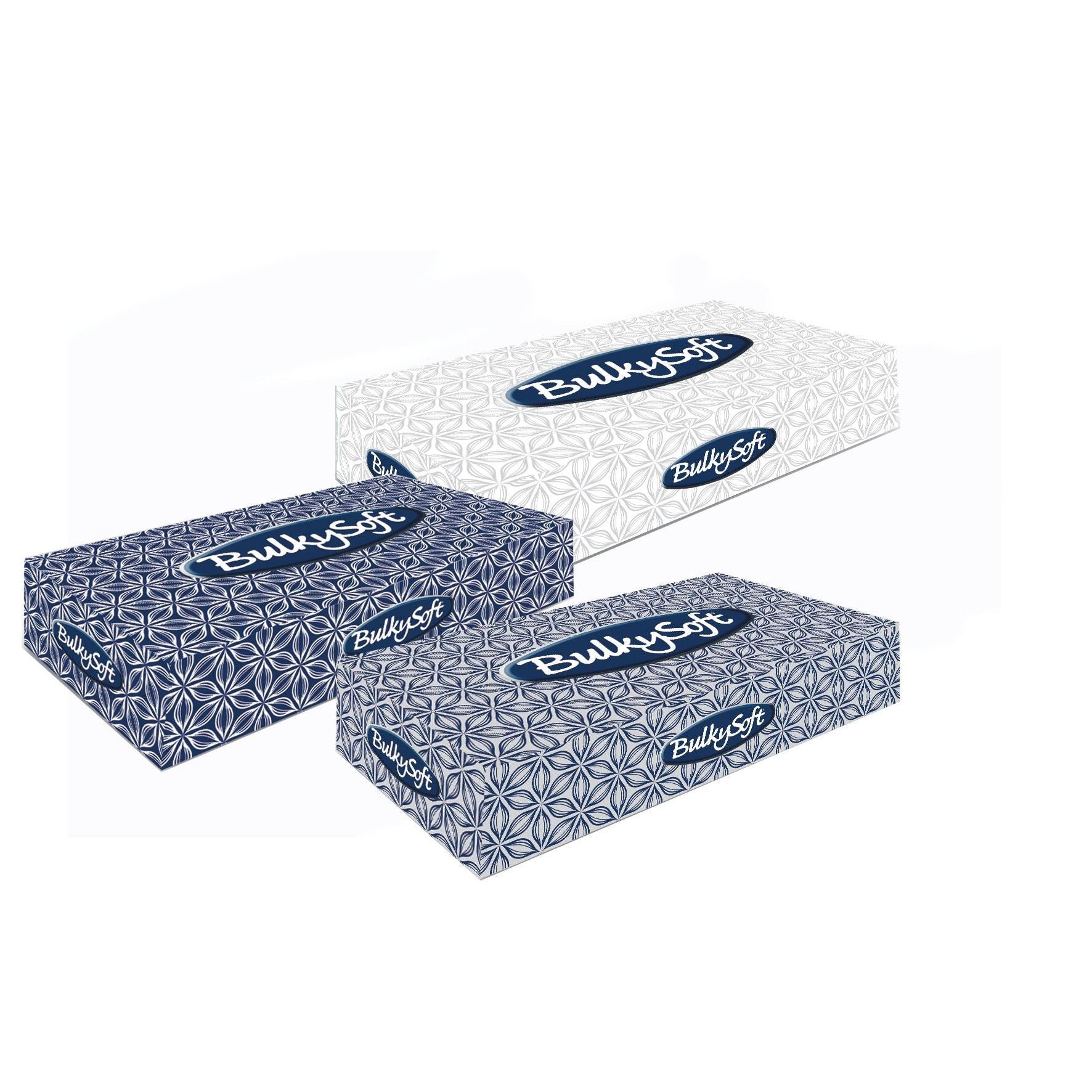 BulkySoft Classic Facial Tissue - 2 Laags - Wit (40 x 100 st.)-BulkySoft-Sordent