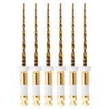 NIC® W+ File Large .05 - 21 mm ISO 045 - Reciprocerende Vijlen - (6 st.)-NIC Dental-Sordent