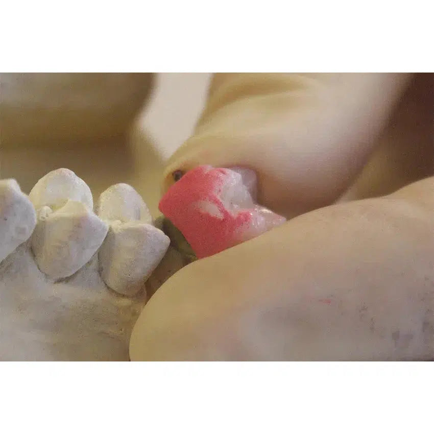 Bausch Arti-Spray Occlusie Testspray - Precisie Kleur - (75 ml)-Bausch-Sordent