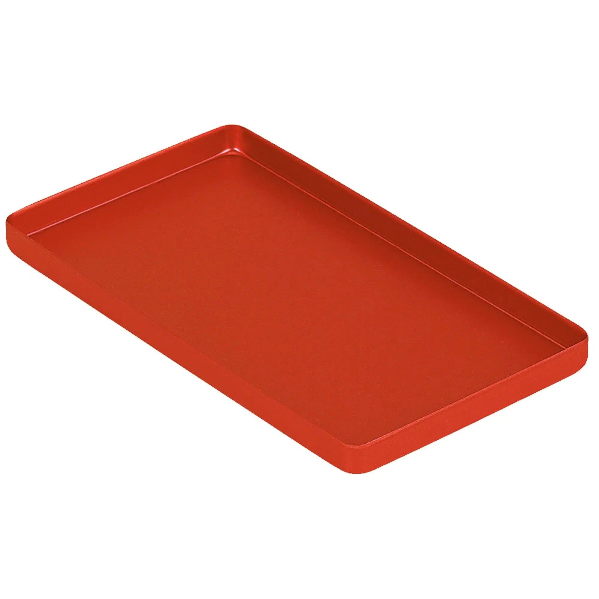 Asa Dental Instrumententray (Mini - 100x180x11 mm)-Instrumenten-Asa Dental S.p.A-Sordent