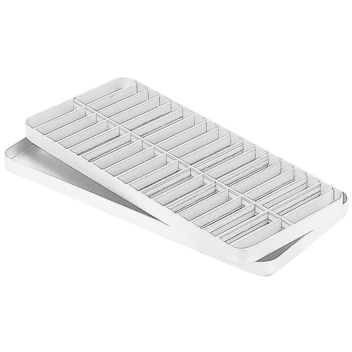 Asa Dental Endodontische tray (voor 11 instr.) (257x116x16 mm)-Instrumenten-Asa Dental S.p.A-Sordent