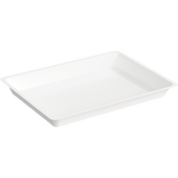 Asa Dental Gladde Disposable Plastic Instrument Tray (20x15 cm)-Asa Dental S.p.A-Sordent
