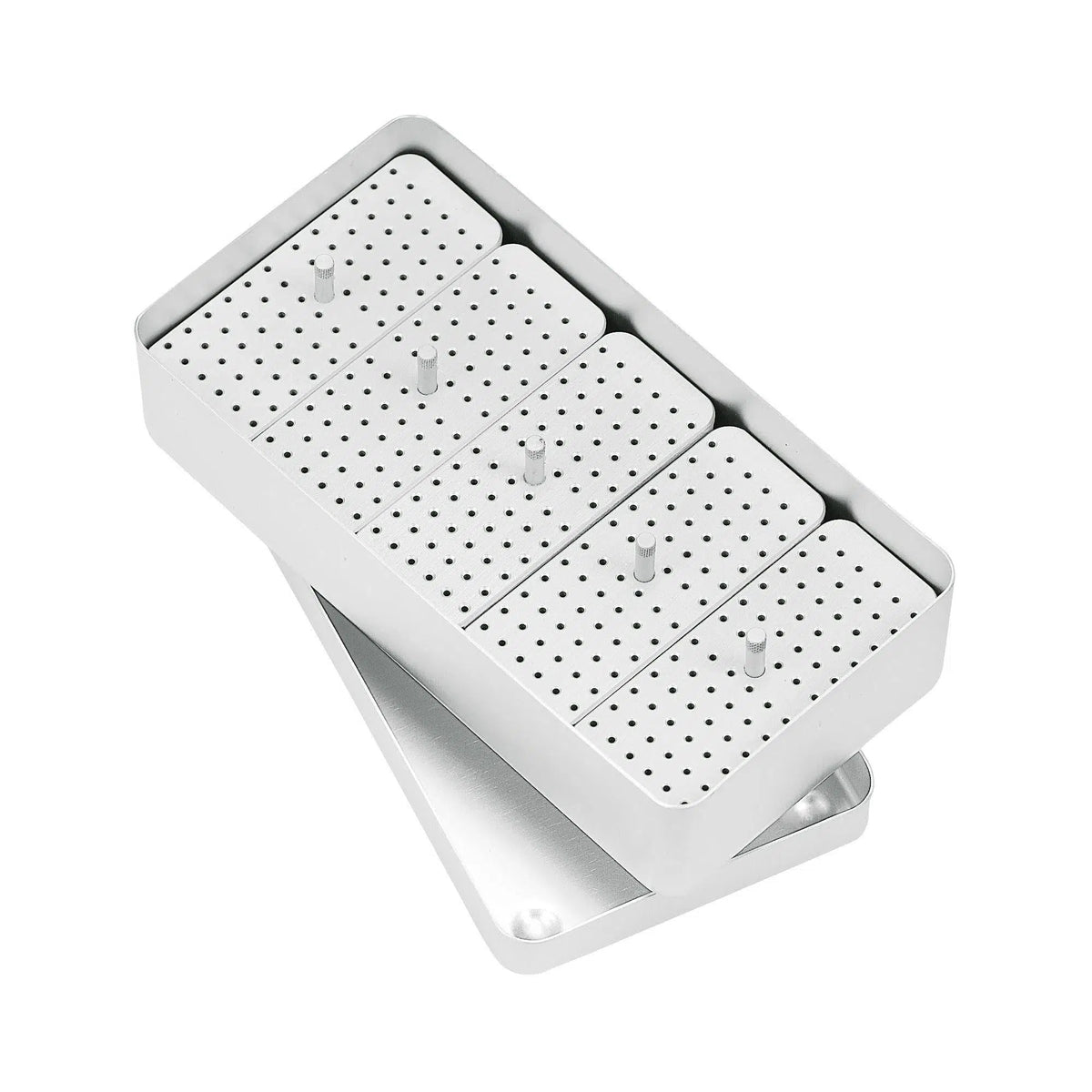 Asa Dental Endodontische doos Zilver (Maxi - 204x105x54 mm)-Instrumenten-Asa Dental S.p.A-Sordent