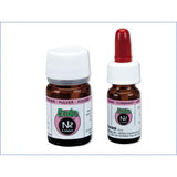 Hager & Werken Endo N2® Cement Set - Endo cement 10 g + Vloeistof 6 g-Hager & Werken-Sordent