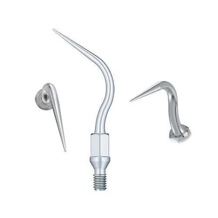 Kavo Scaler Tip GK6-Scaler Tips-Sordent-Sordent
