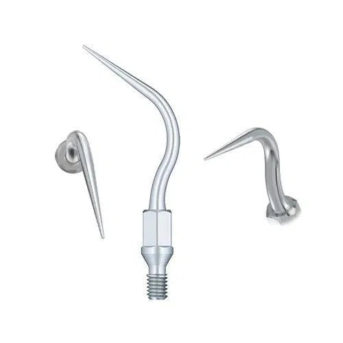 Kavo Scaler Tip GK6-Scaler Tips-Sordent-Sordent