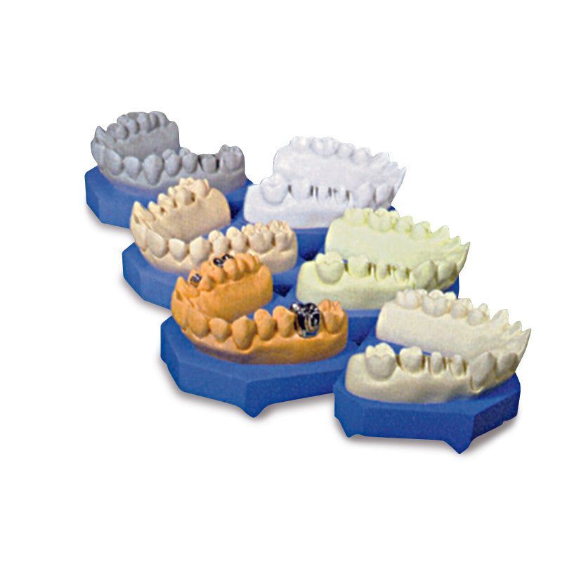 BMS Dental Gips Type III (3) - (5 / 25 kg - Geel / Blauw / Roze)-BMS Dental-Sordent