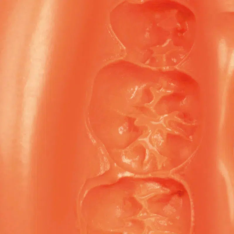 Zhermack Neocolloid Normal Setting Hydrocolloid Poeder (500 gr.)-Zhermack-Sordent