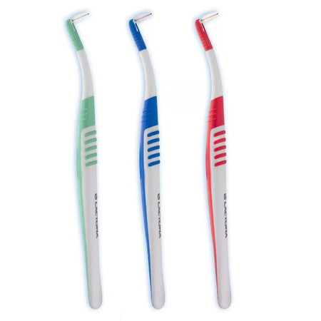 Lactona Proxabrush - Handvat Ragers (12 st.)-Lactona-Sordent