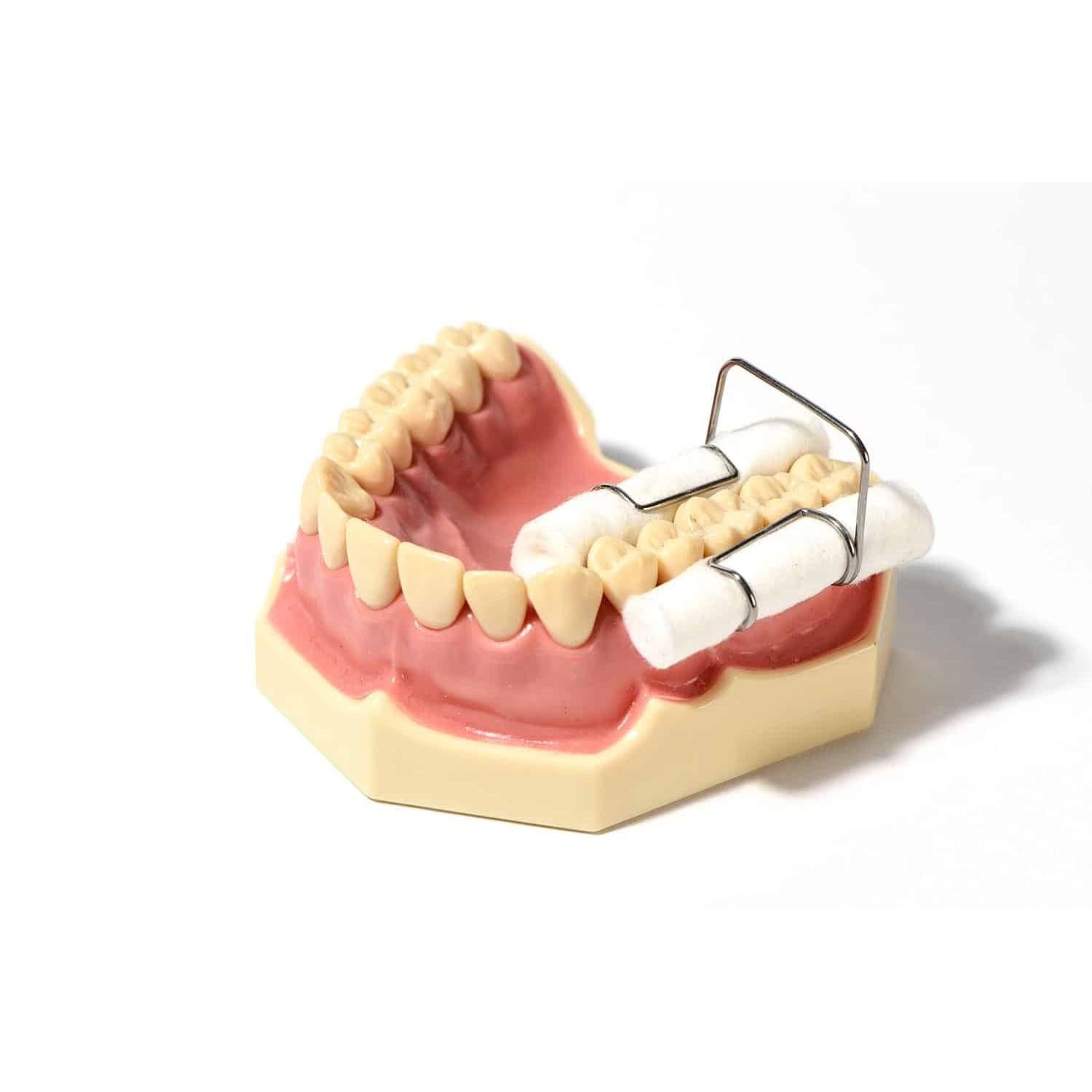 Polydentia Cotton roll holder (Wattenrolhouders) (4 st.)-Polydentia-Sordent