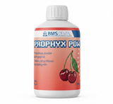 BMS Dental PROPHYX POW Prophylaxis Polijstpoeder 40 µm (4x300 g)