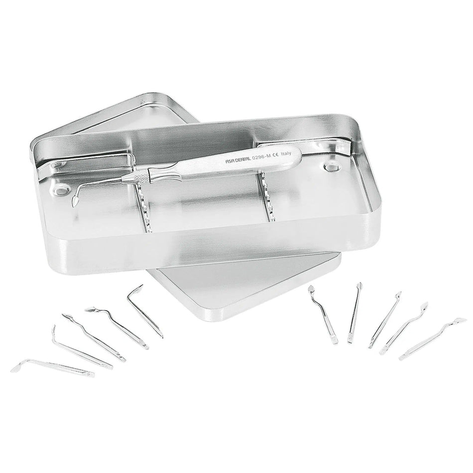 Asa Dental Syndesmotome set (Handvat / 11 opzetstukken / Tray)-Instrumenten-Asa Dental S.p.A-Sordent