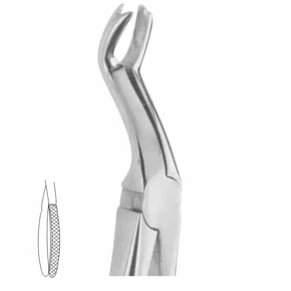 Worteltang Wortels, Verstandkiezen en Molaren Bovenkaak-Instrumenten-Sordent-Sordent