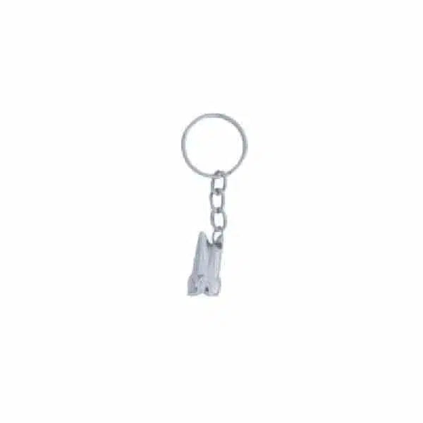 Tandarts Sleutelhanger Tand / Molar Tooth-Instrumenten-Sordent-Sordent