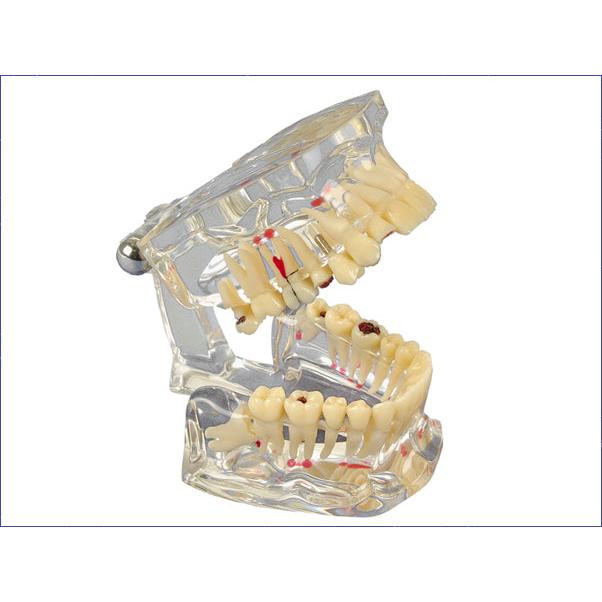 Hager & Werken Studiemodel Transparant De Luxe-Hager & Werken-Sordent
