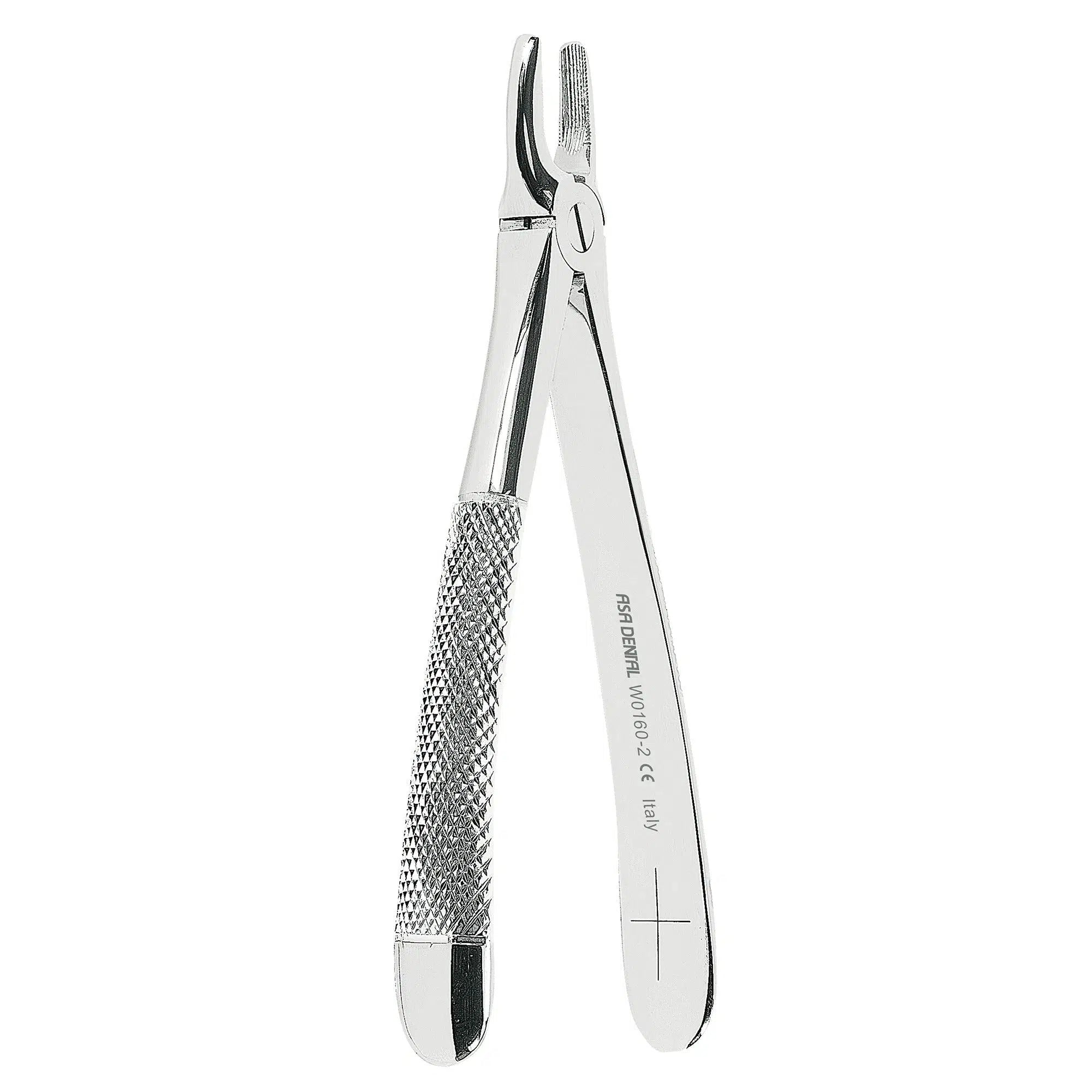 Asa Dental AsaLady Extractietang #2 Gekartelde punt (16 cm)-Instrumenten-Asa Dental S.p.A-Sordent