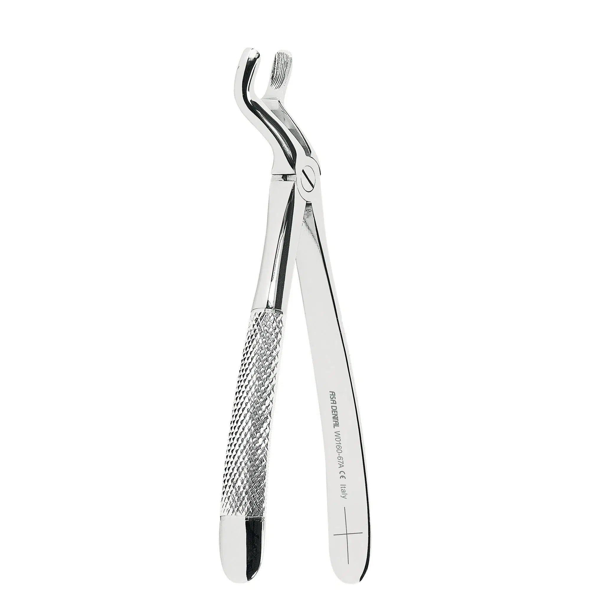 Asa Dental AsaLady Extractietang #67A Gekartelde punt (17 cm)-Instrumenten-Asa Dental S.p.A-Sordent