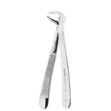 Asa Dental AsaLady Extractietang #74 Gekartelde punt (14 cm)-Instrumenten-Asa Dental S.p.A-Sordent