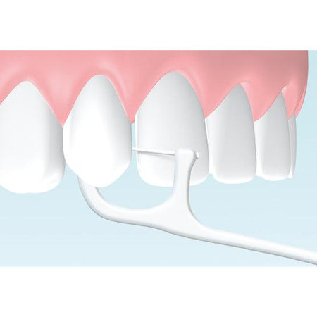 Hager & Werken Zahnpick® Tandenstoker / Floss combinatie (100 st.)-Hager & Werken-Sordent