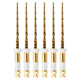 NIC® W+ File Large .05 - 31 mm ISO 045 - Reciprocerende Vijlen - (6 st.)-NIC Dental-Sordent