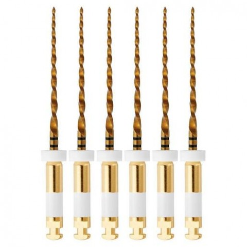 NIC® W+ File Large .05 - 31 mm ISO 045 - Reciprocerende Vijlen - (6 st.)-NIC Dental-Sordent