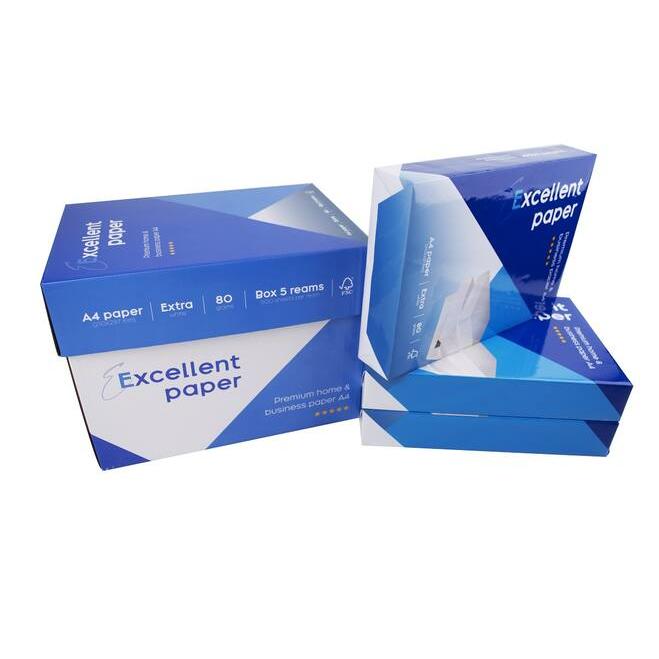 A4 Printpapier Wit 80 g – Excellent Paper – 2500 Vel (5x500 st.)