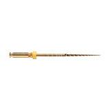 ProTaper Gold® - RA F1/2/3/4/5 Finishing - 21/25/31 mm. - (6 st.)-Dentsply Sirona-Finisher 1-31 mm-Sordent