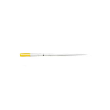 Dentsply TruNatomy™ Paper Points - Div. Opties (180 st.)-Dentsply Sirona-Small-Sordent