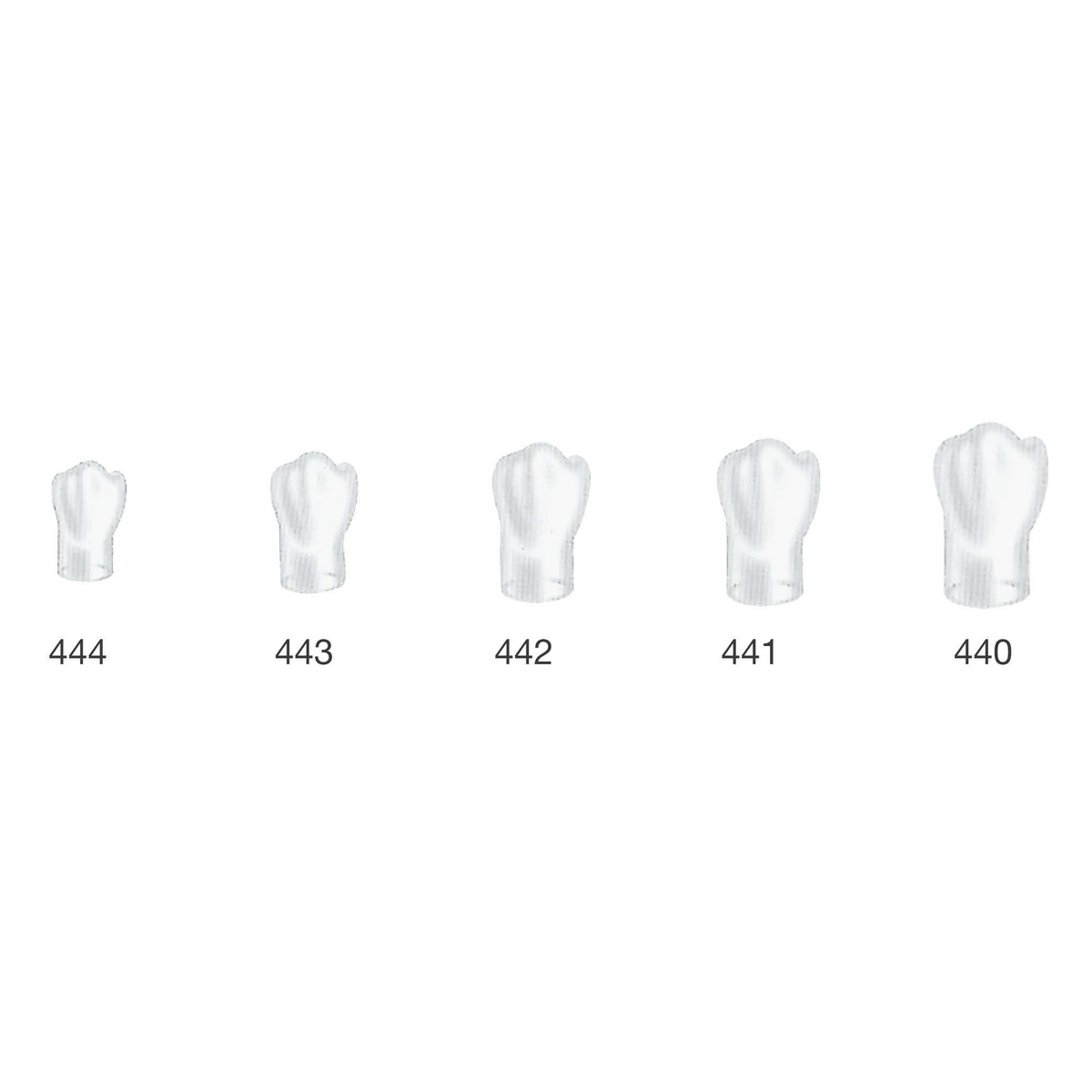 Frasaco Stripkronen Eerste premolaar - Rechtsonder (LR)-Frasaco-Sordent