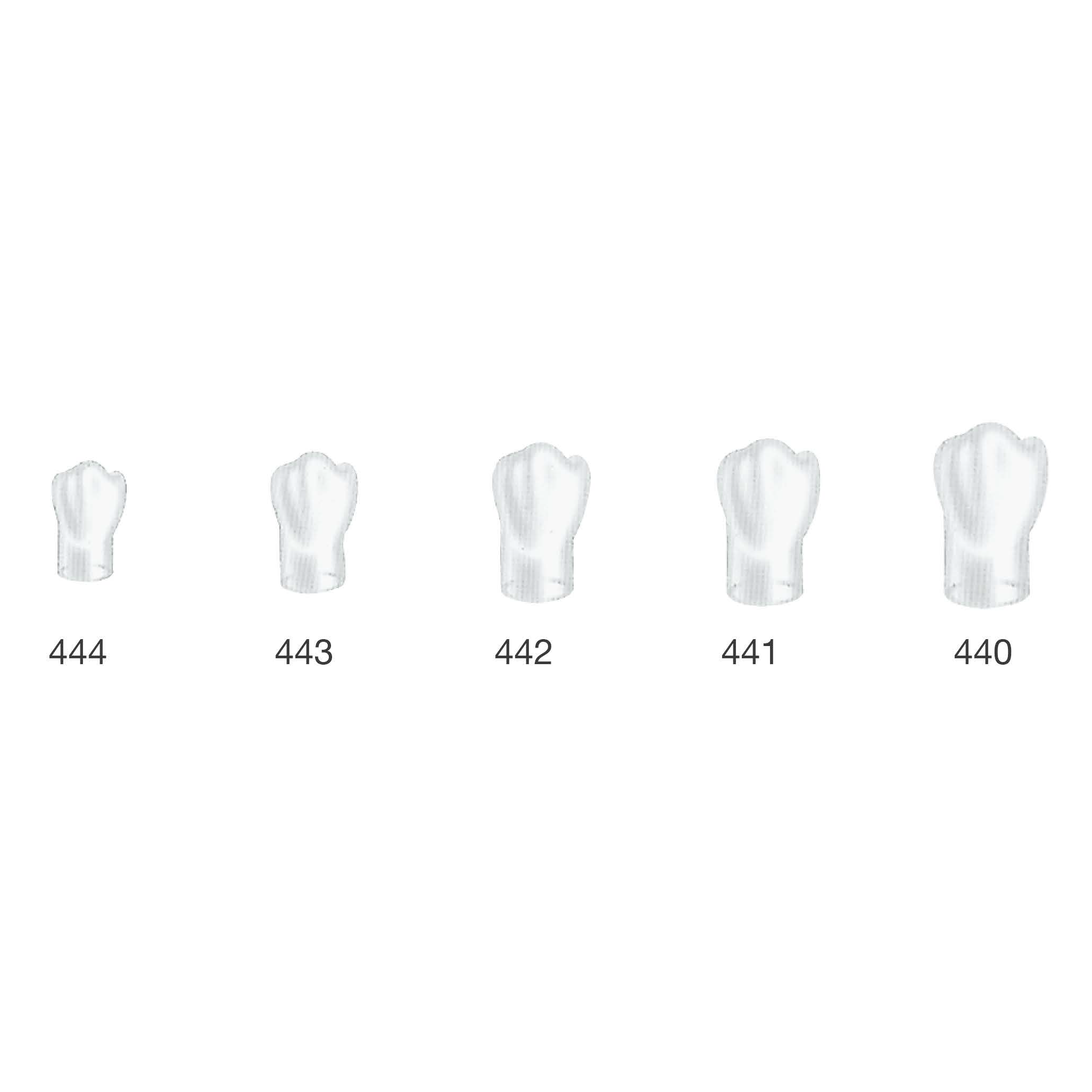 Frasaco Stripkronen Eerste premolaar - Rechtsonder (LR)-Frasaco-Sordent